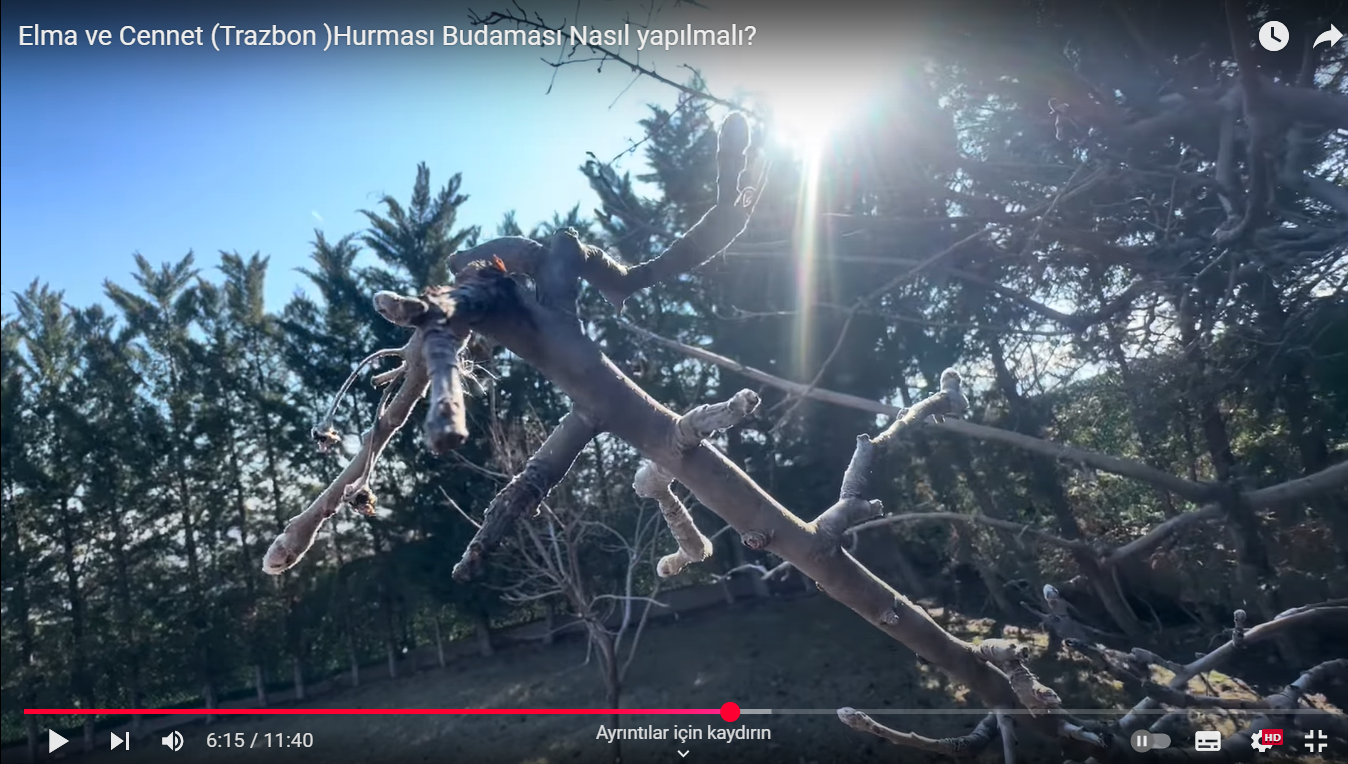 Videoyu yükle: